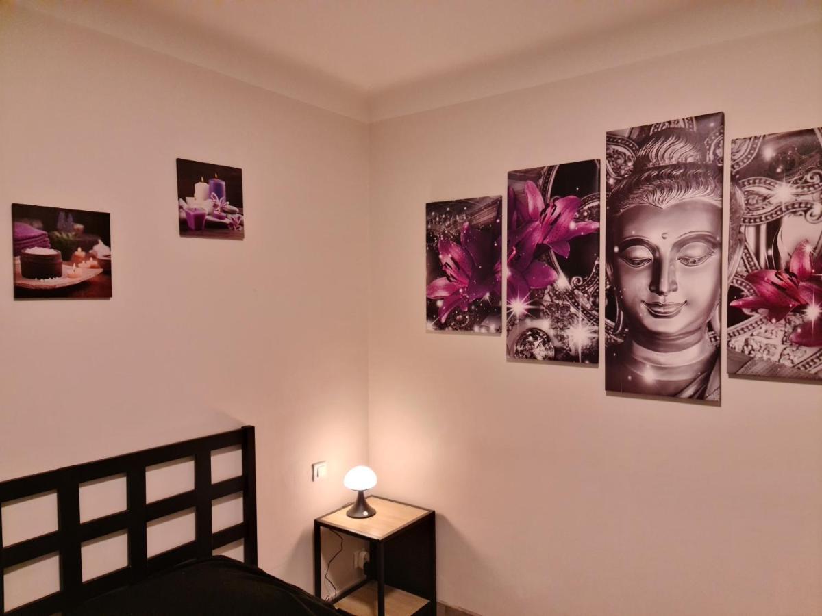 Gite Zen Carnoules  エクステリア 写真